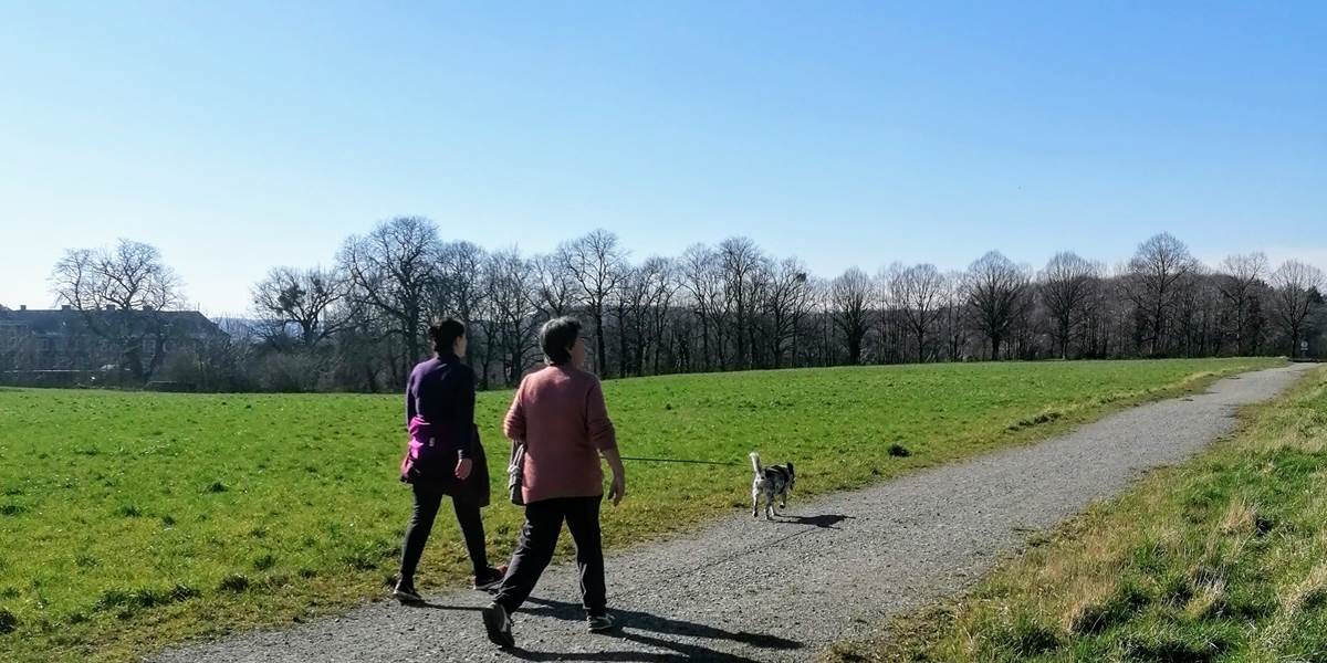 Aux abord d'Aigremont chien