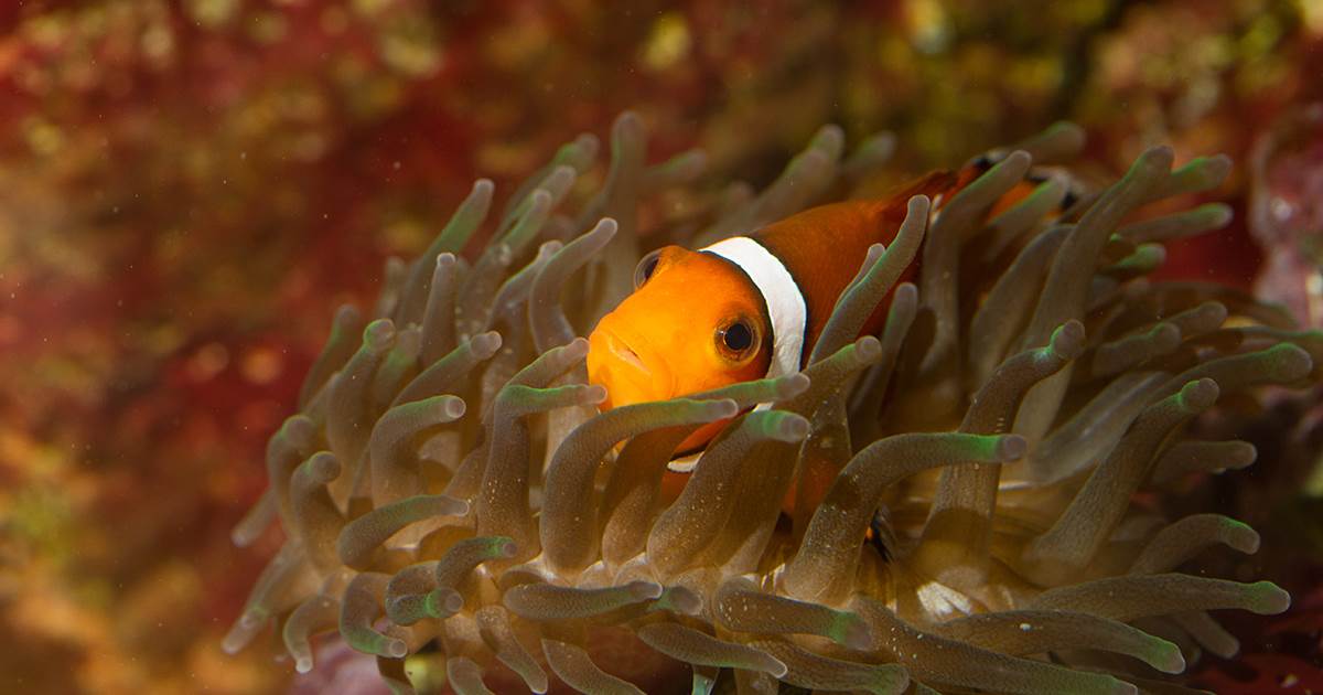 191000101_7-img-around