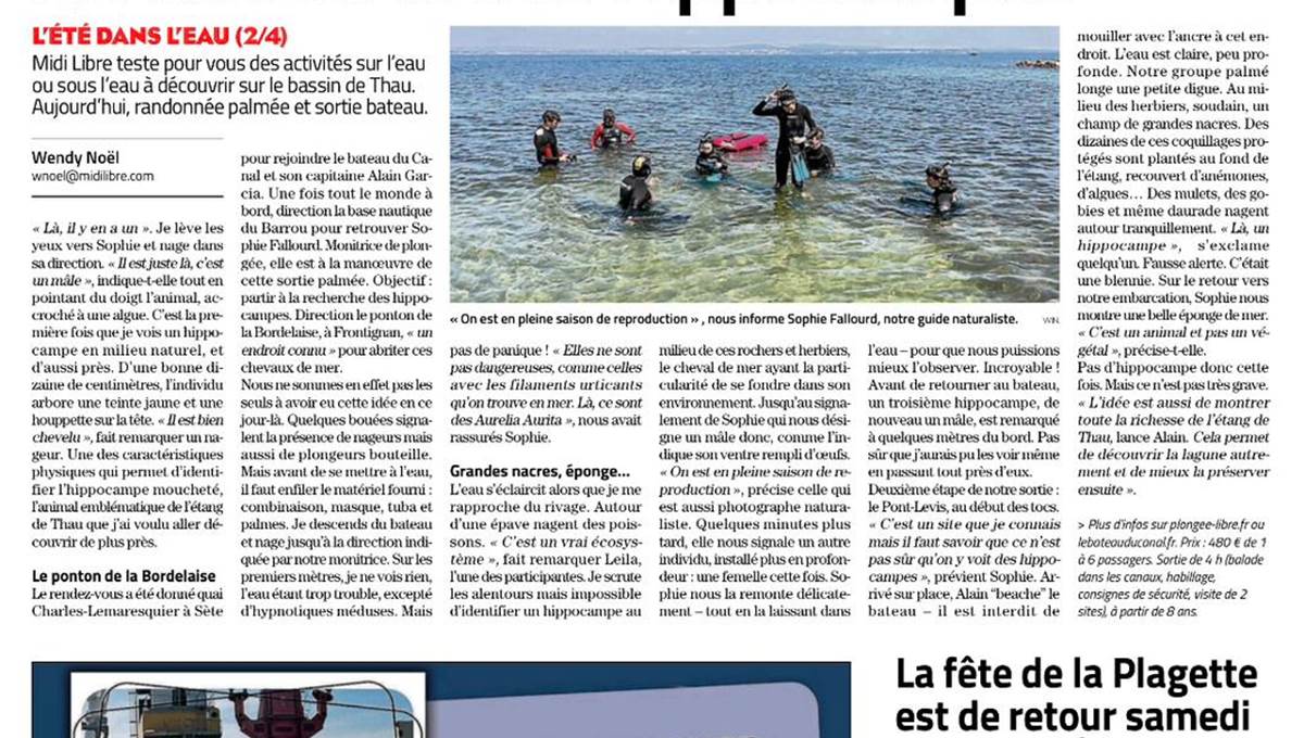 -news