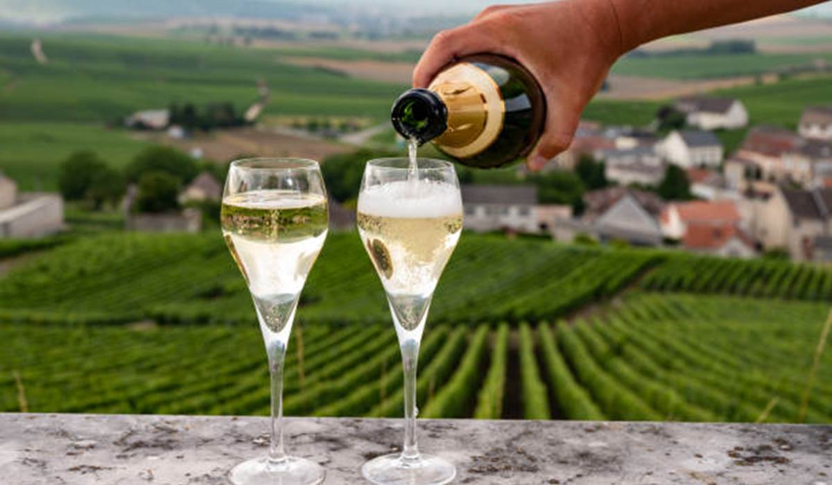 Le vignoble champenois