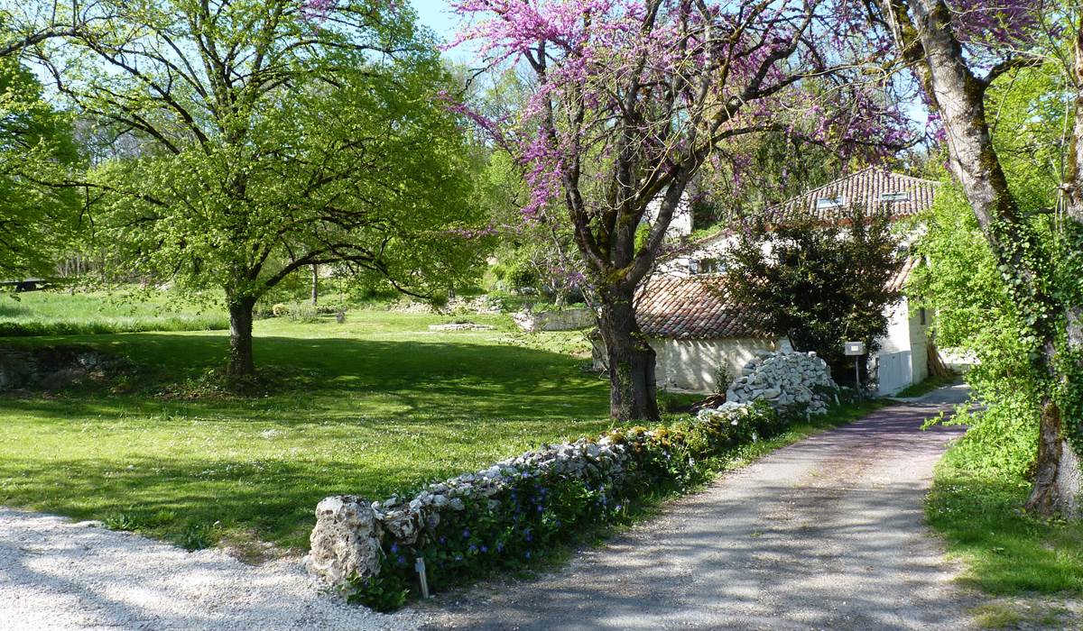 Jardin paisible pour profiter du plein air