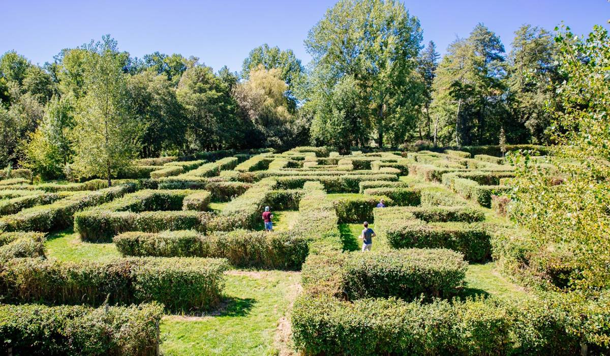 labyrinthe végétal