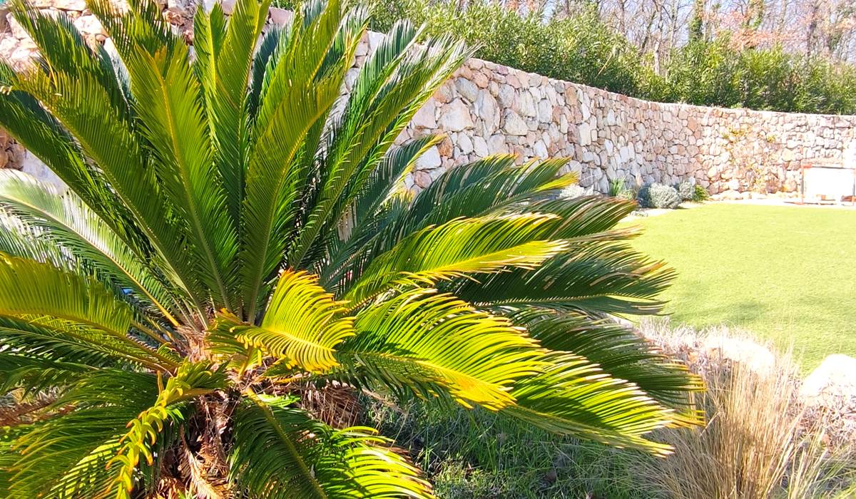 villa-maluan-villa-luxe-proche-nice-provence