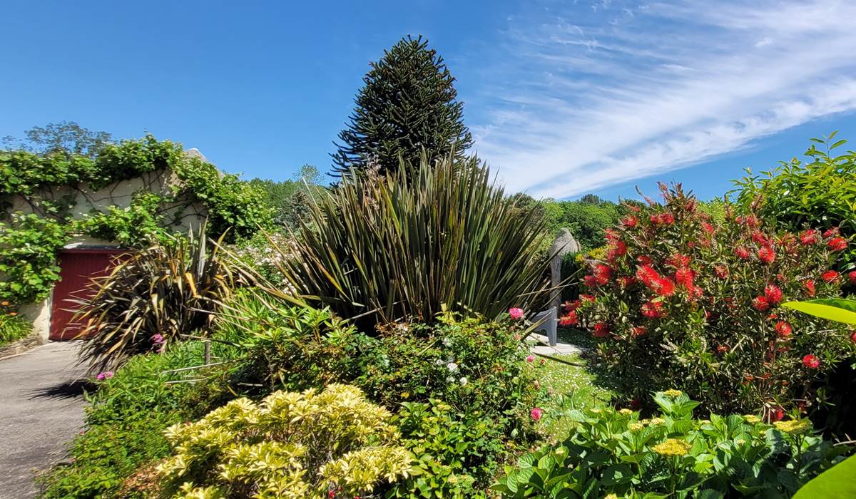 Le jardin