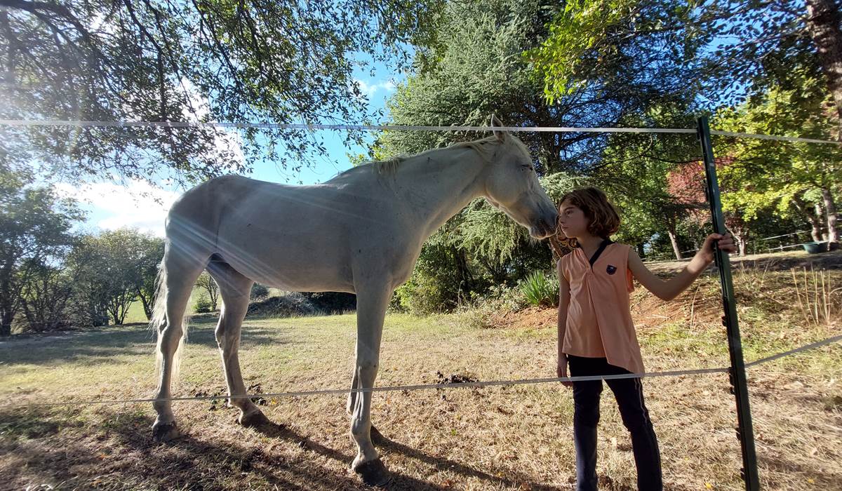 Domaine_de_Calabel©_Pouylebon_vacances_piscine_gers_cheval_poney