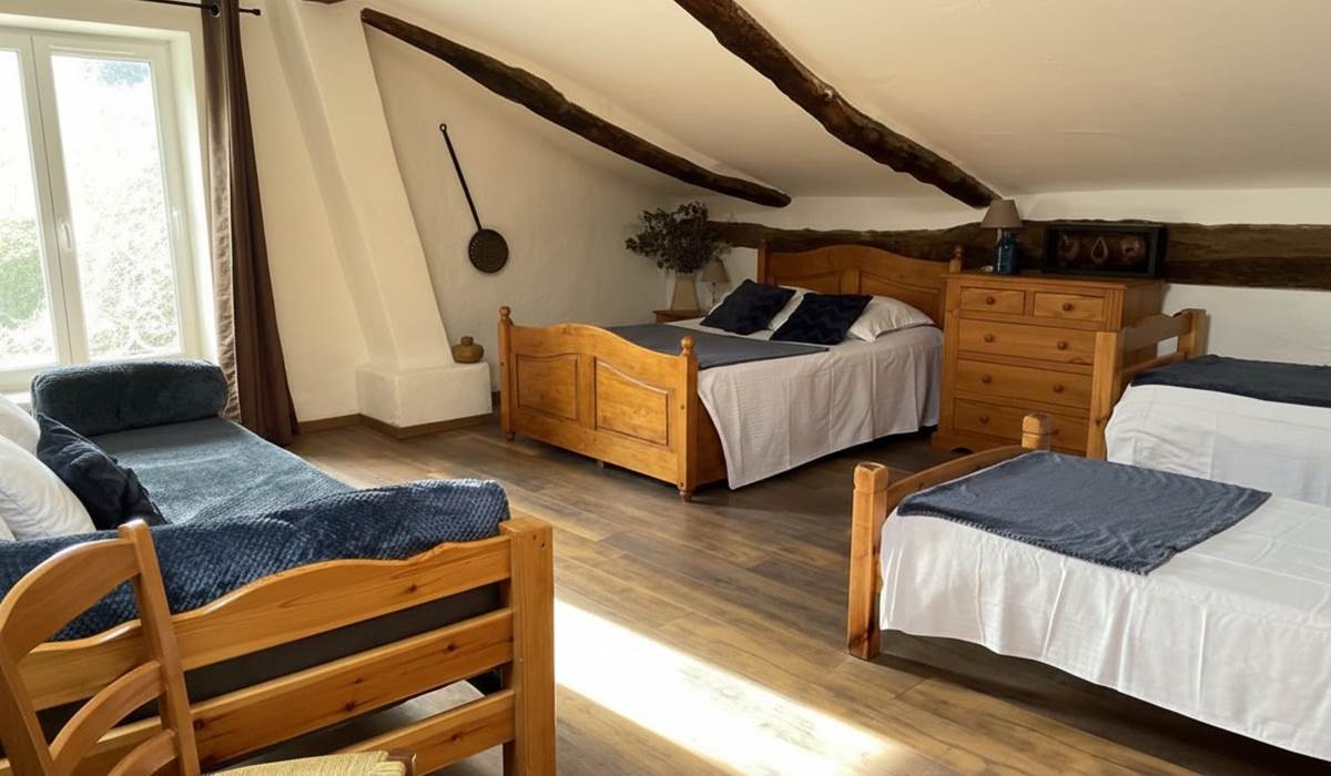 ombrebleuedufigfuier-chambre-châtaigne 1
