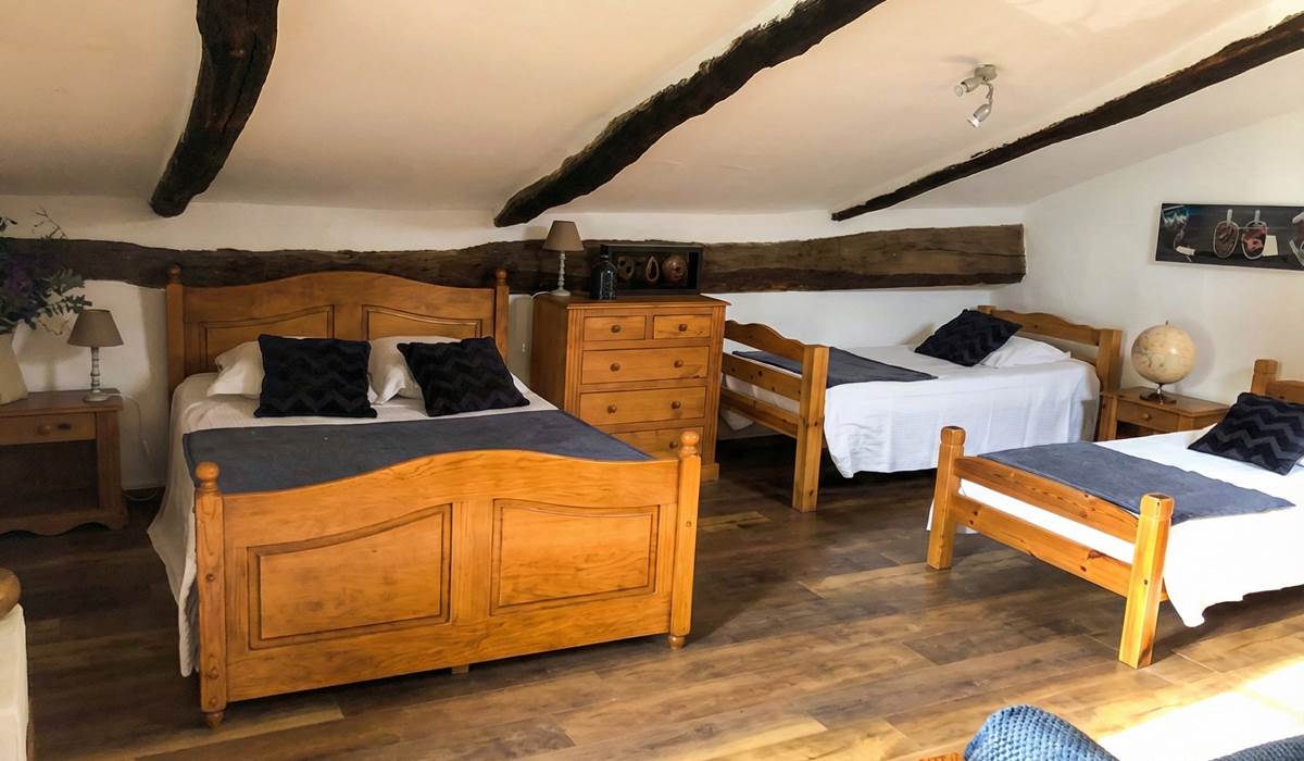 ombrebleuedufigfuier-chambre-châtaigne 6