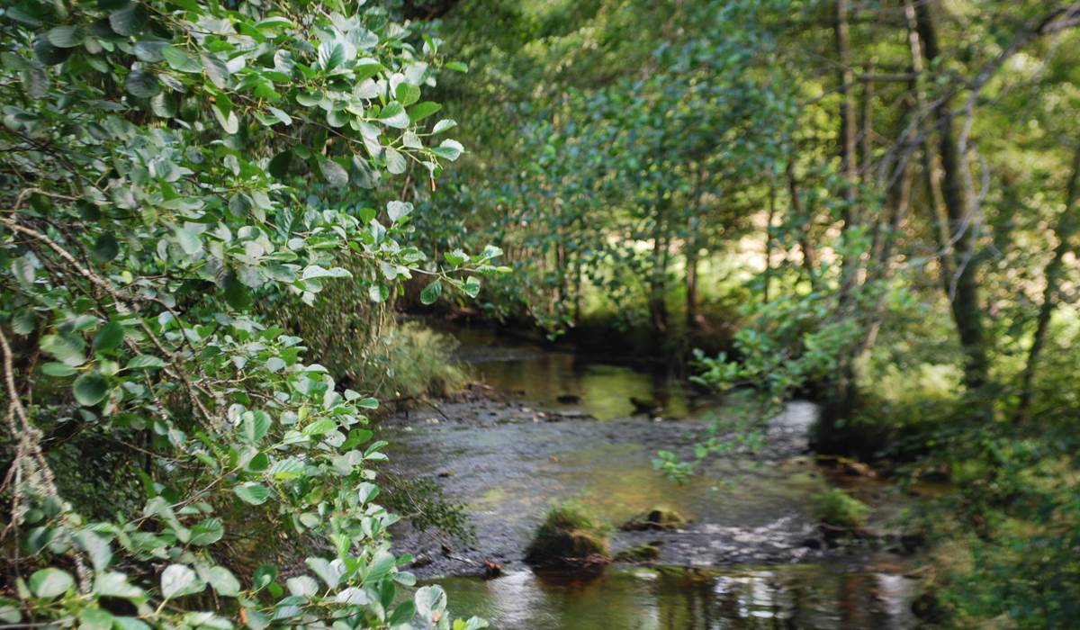 rivière en limousin La Vienne