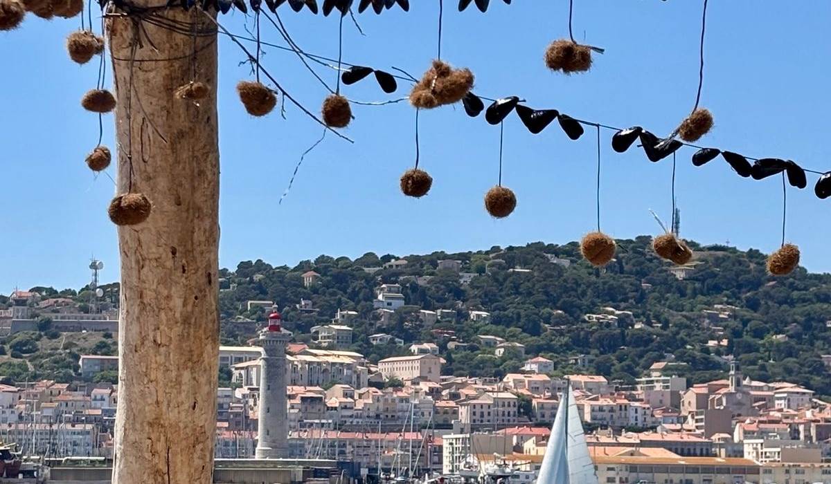 Sète et brasucade