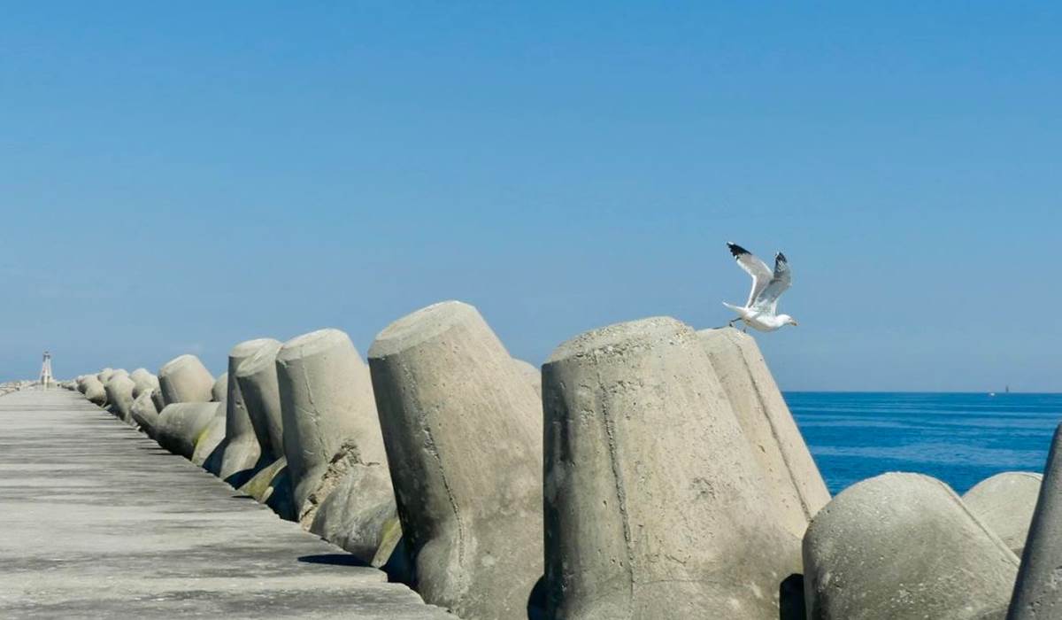 Le brise lame Sète