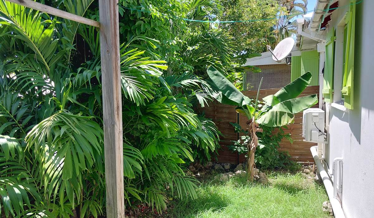 Le Flamboyant jardin