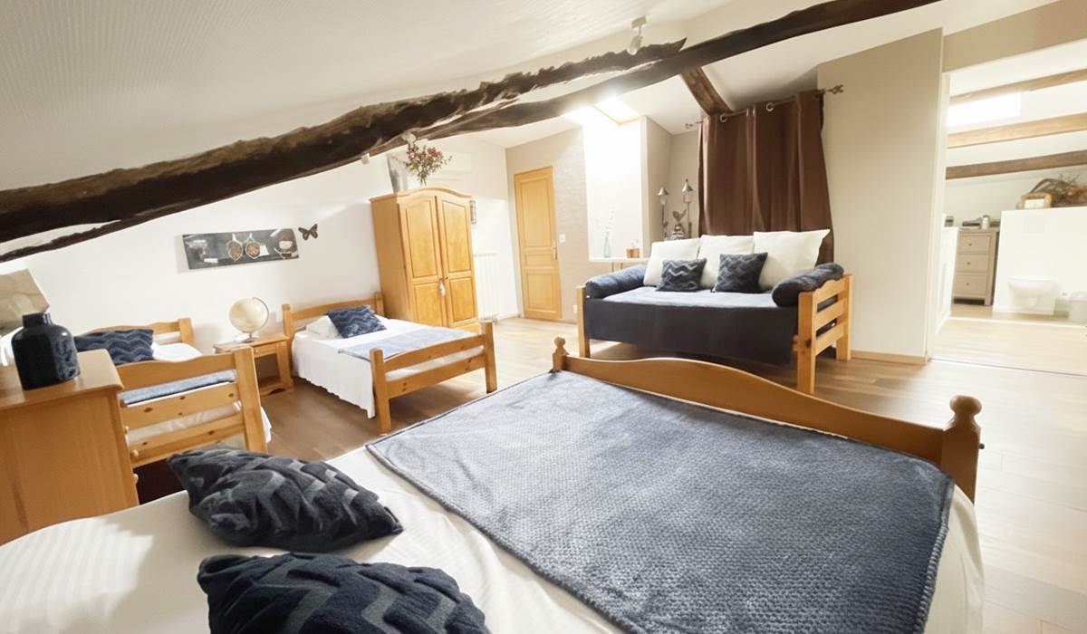 ombrebleuedufigfuier-chambre-châtaigne 3