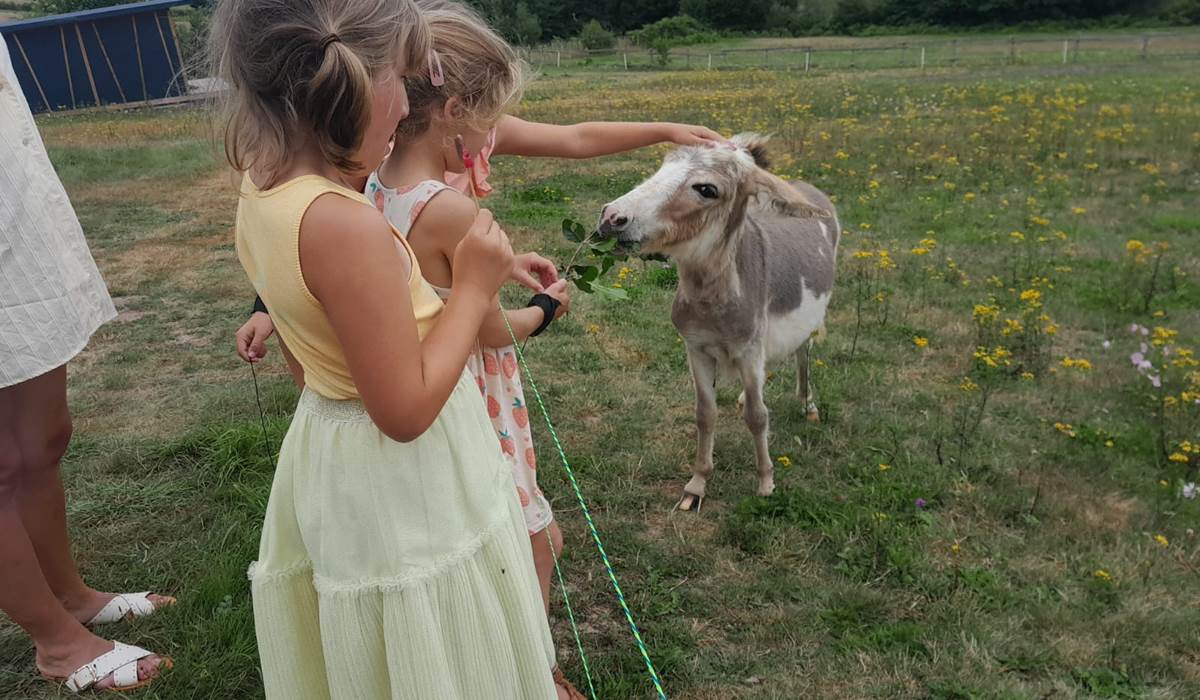 mini ferme