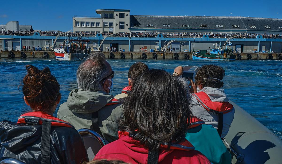 Assister au retour des chalutiers depuis la mer