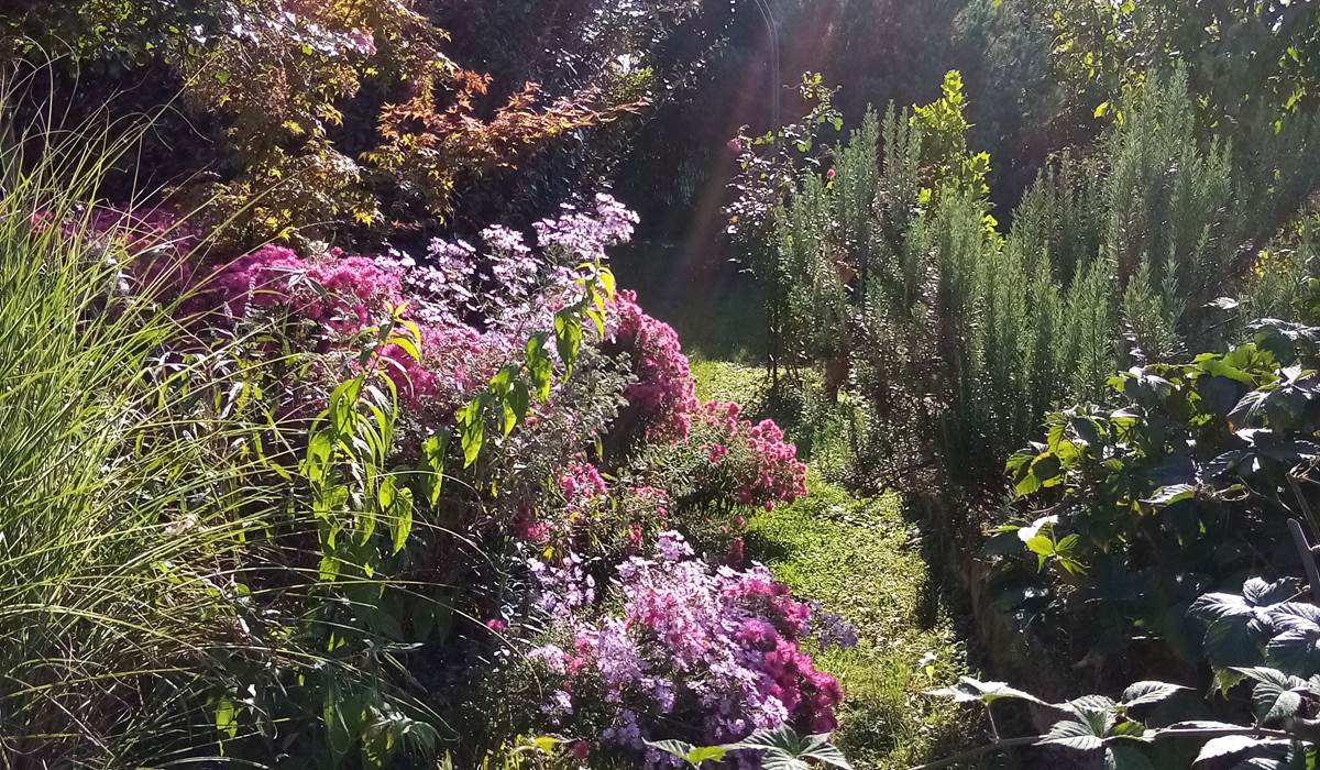 Une allée du jardin