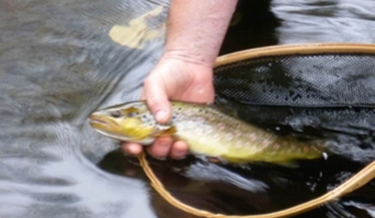 Activité Pêche en Limousin