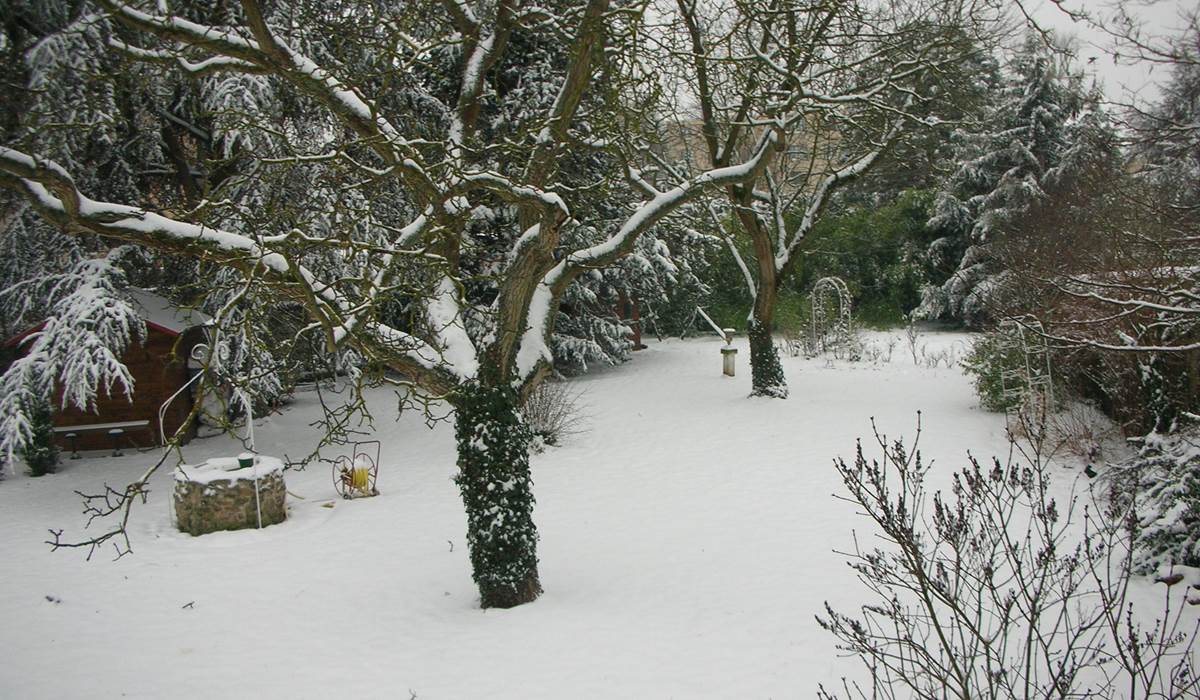 JARDIN SOUS LA NEIGE