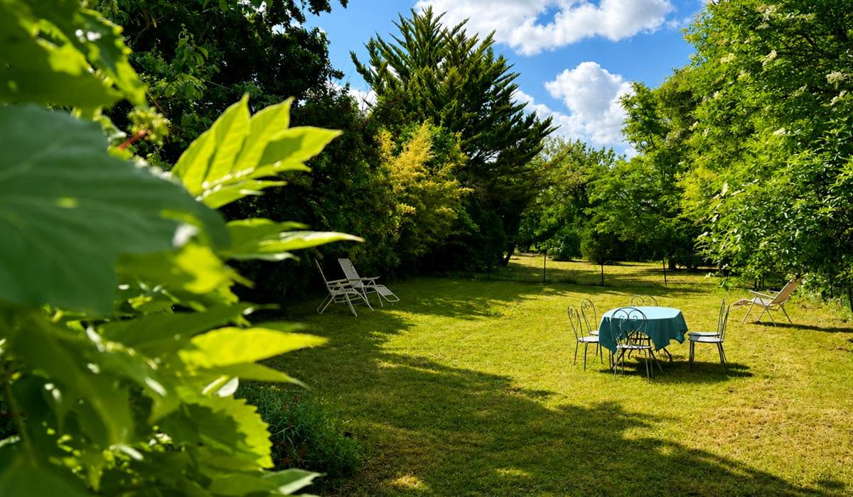 jardin4