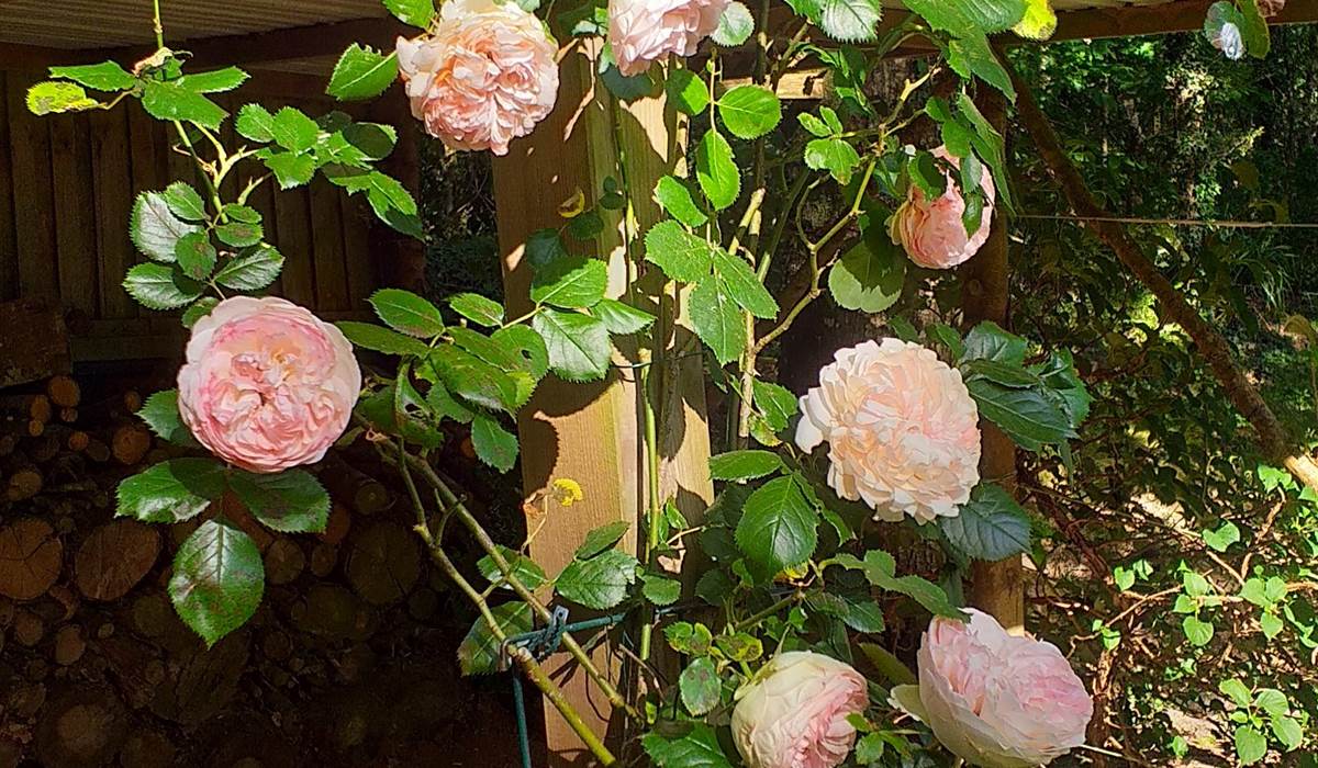 Au Jardin