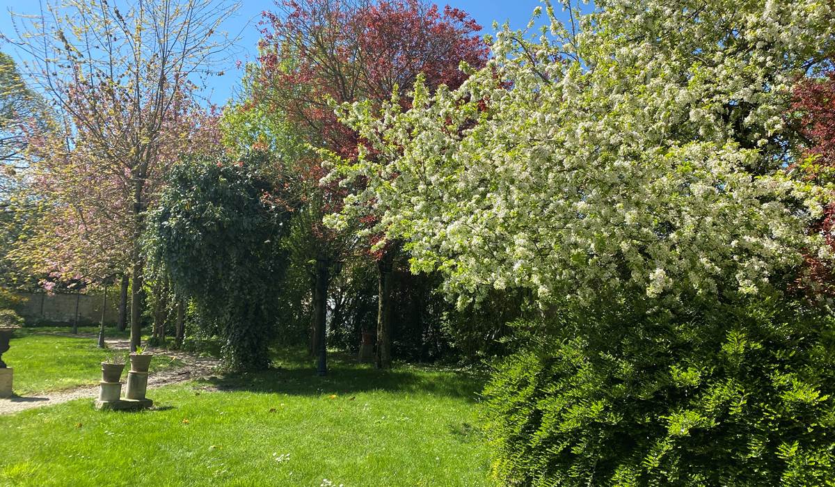 Le jardin au printemps