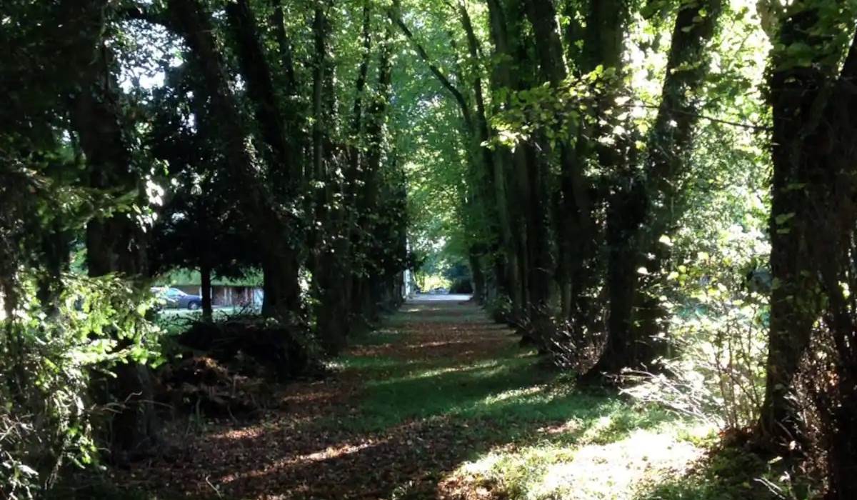 Une allée du Château de Géraudot  - copie