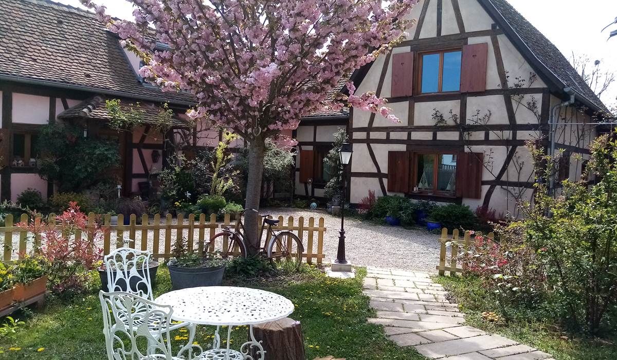 HISSELE_Maison alsacienne à colombages