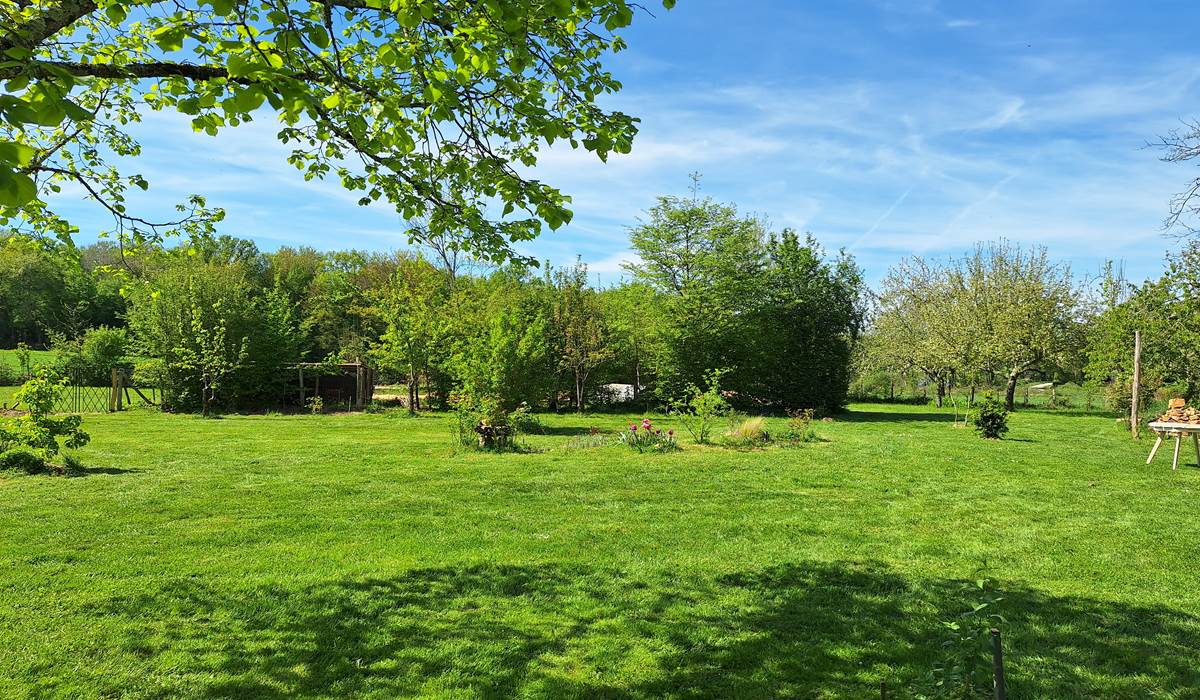Chevêche Jardin  2   20240413_151439