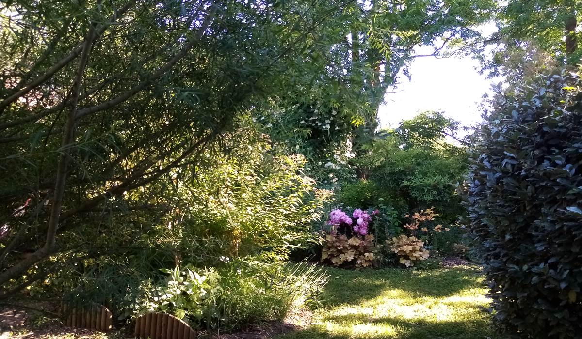 Un petit coin de paradis_Jardin