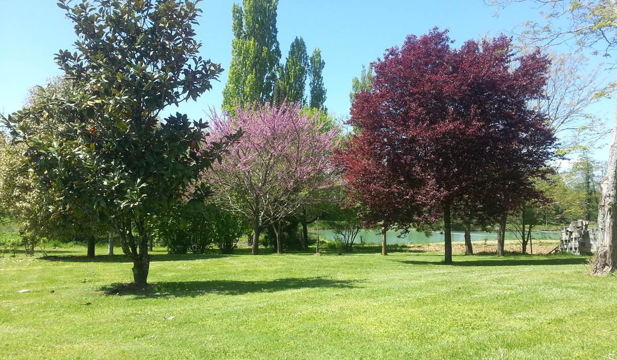 Parc