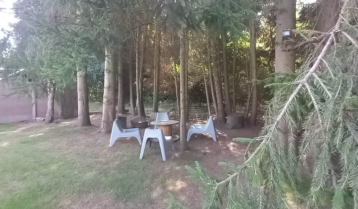 Jardin arrière