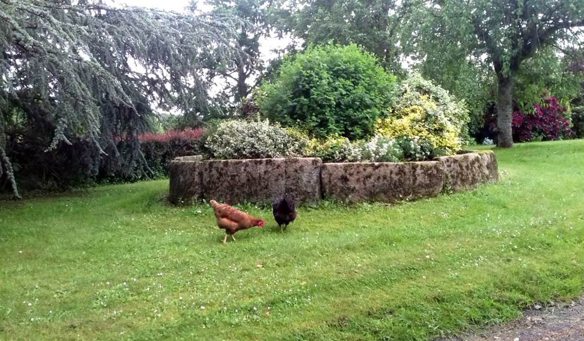 la Gautraie chambre d hotes proche de Fougeres et des jardins de la Ballue