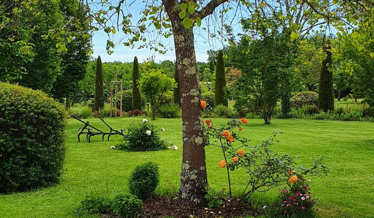 jardin