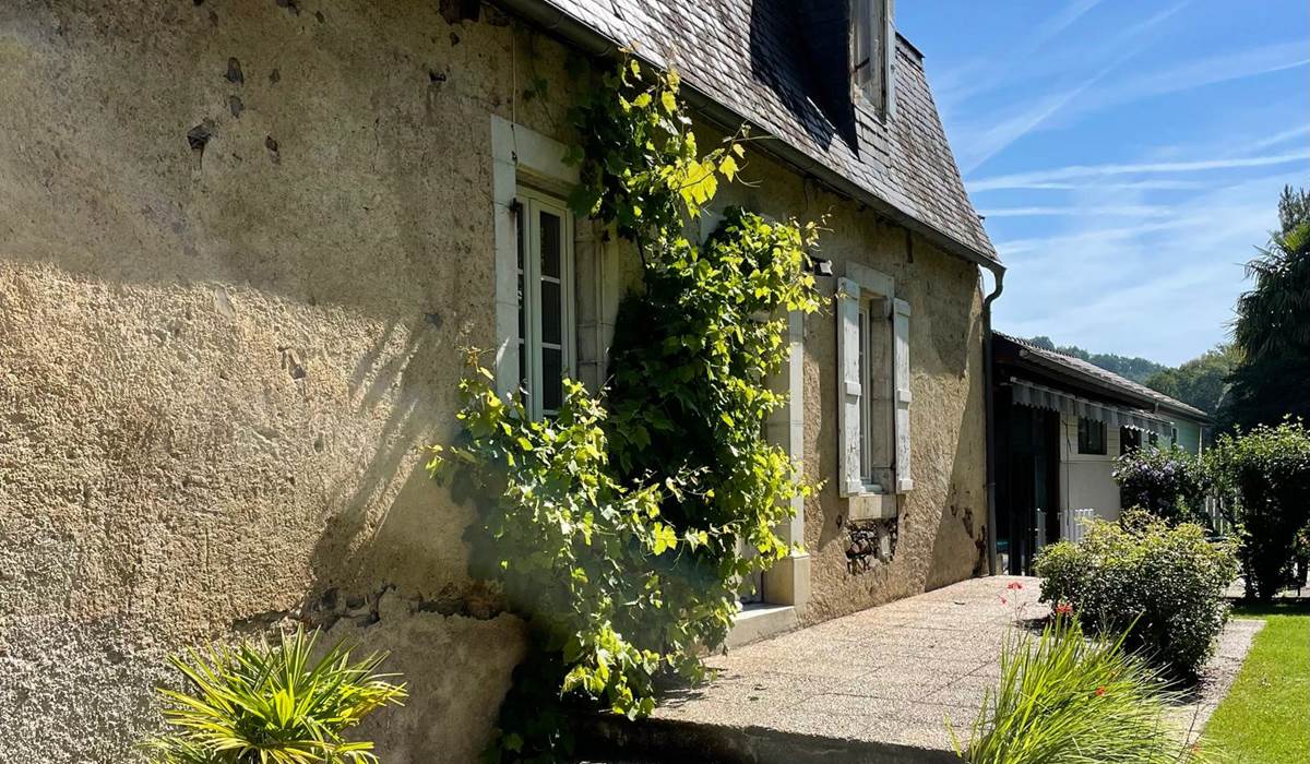 La vigne de La Caminade!