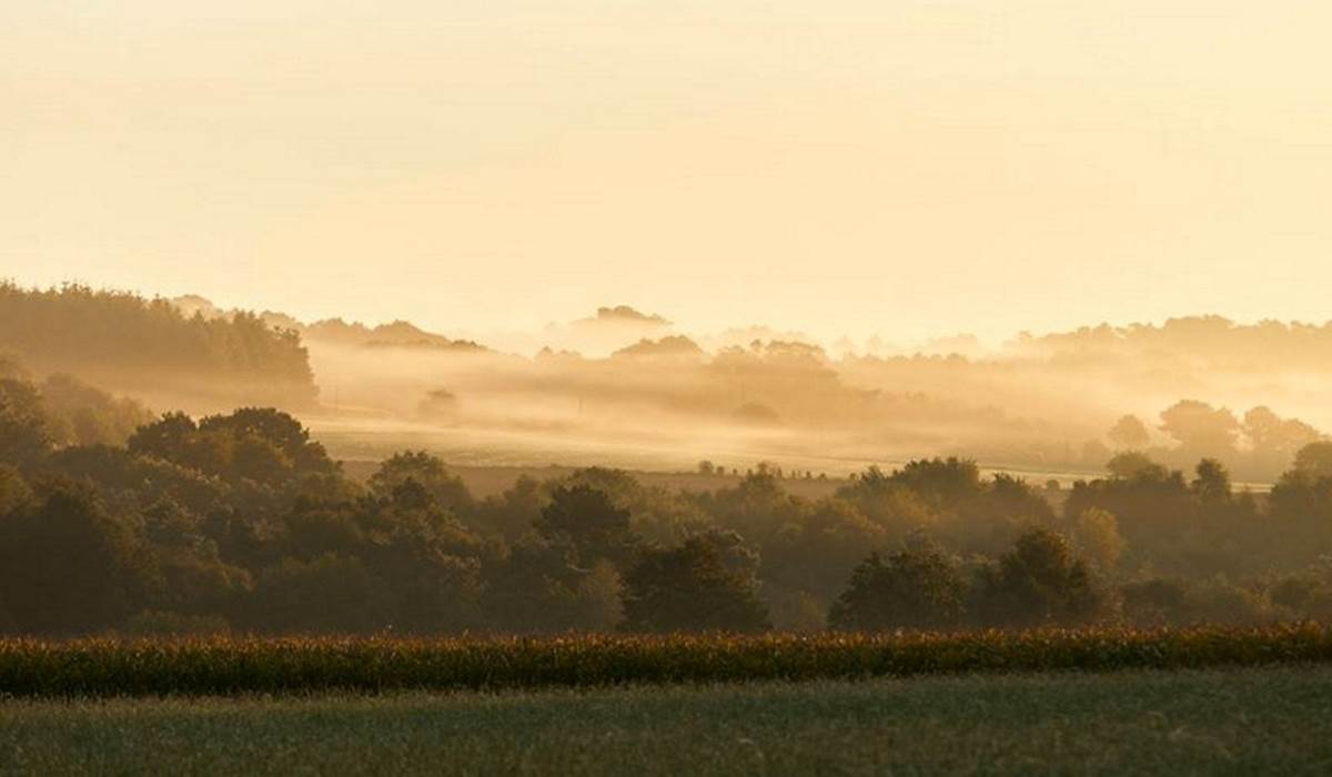 Les landes de Lanvaux