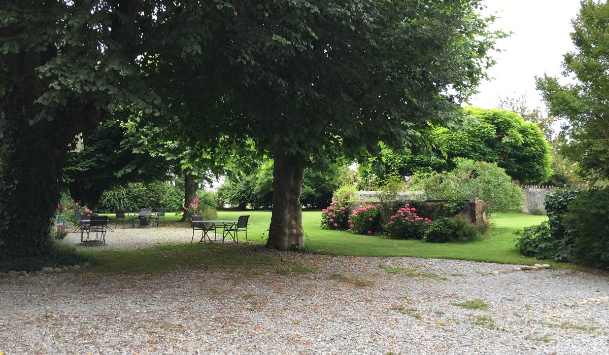 Petit déjeuner à l'ombre des platanes