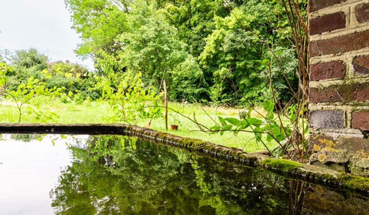 Pièce d'eau du parc du château, remplie après les pluies