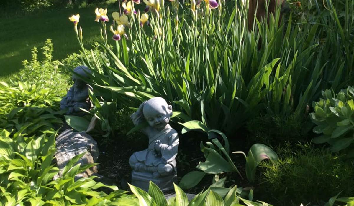 jardin