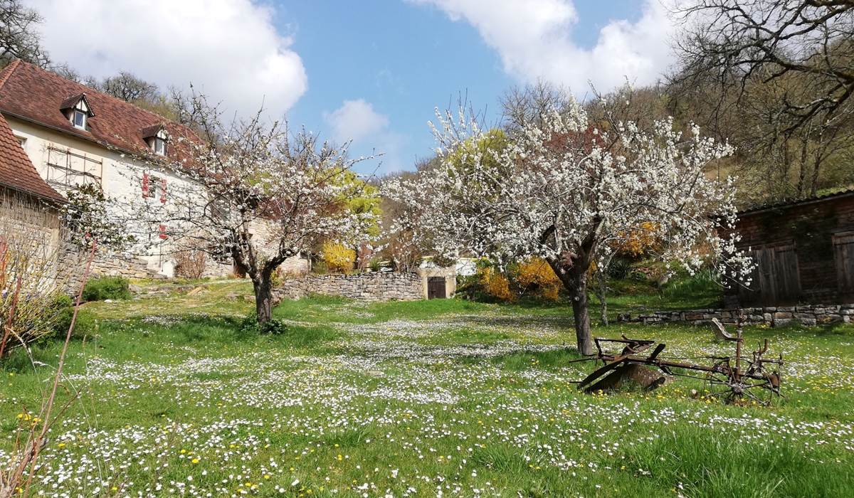 Jardin en fleur grand gite