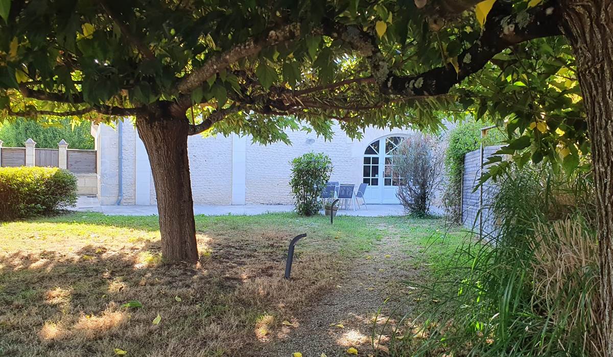 Eucalyptus Terrasse extérieure sur jardin privatif
