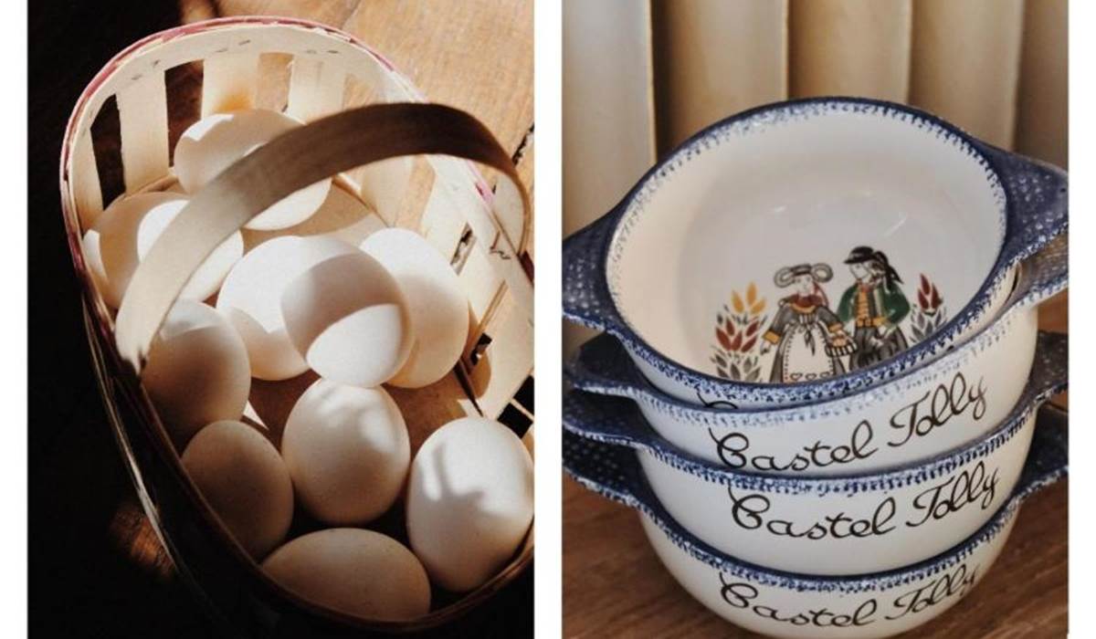 Oeuf de poule de qualité 