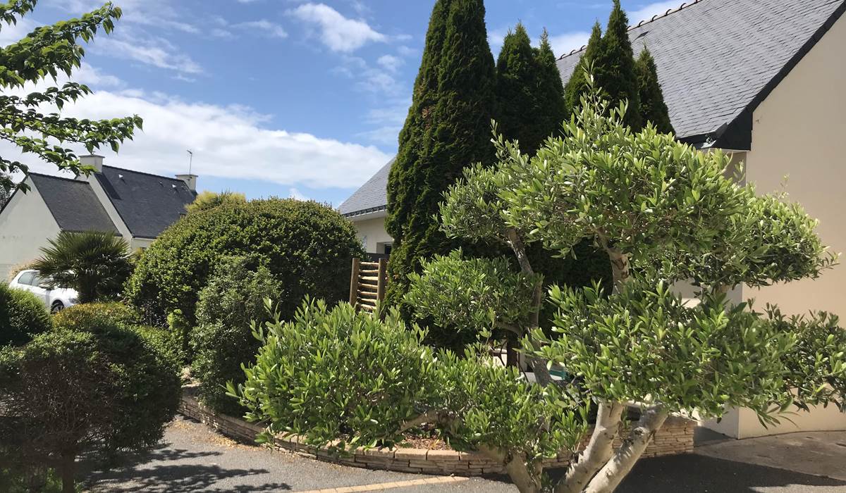 jardin