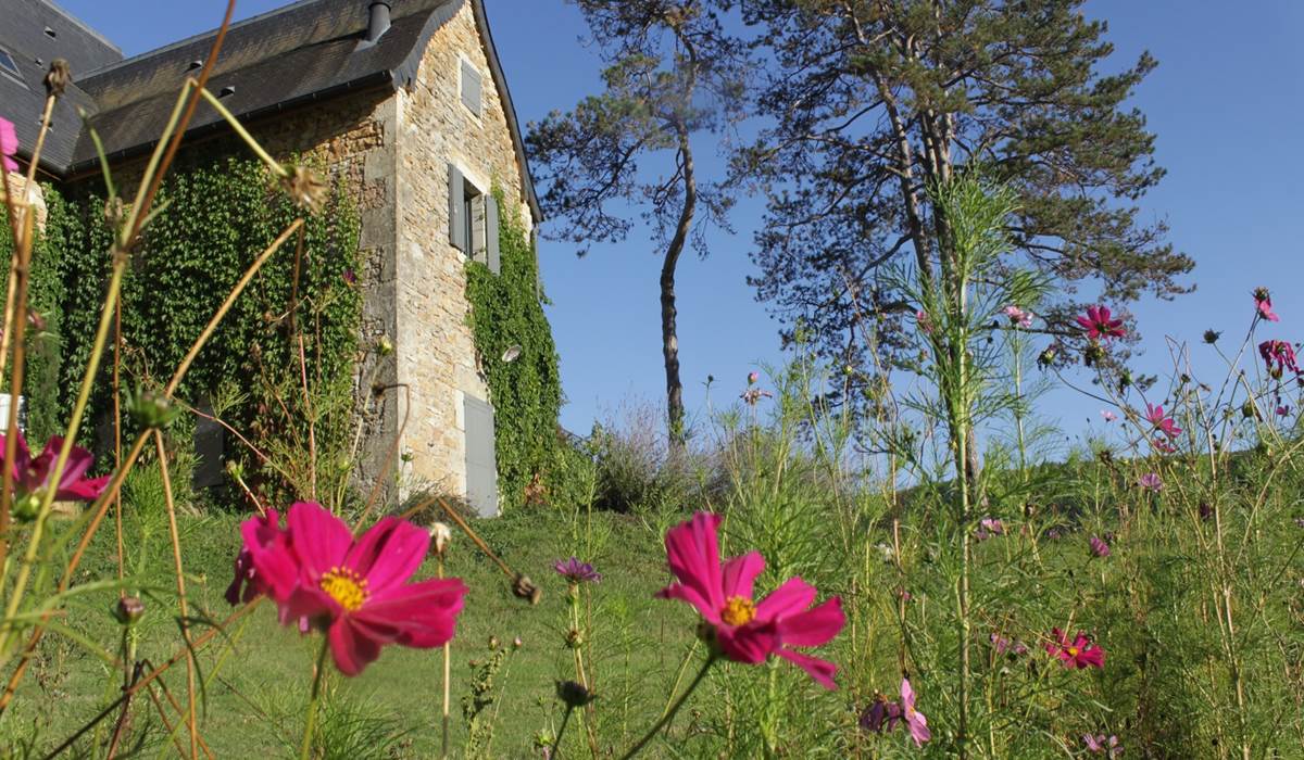 Ambiance du domaine côté gîte