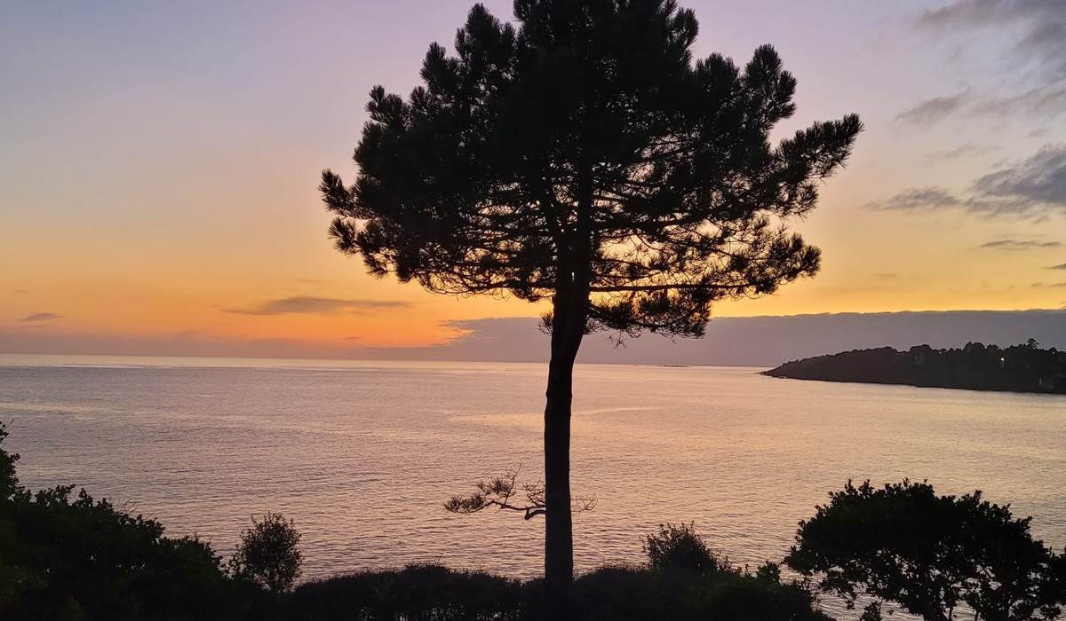 Kerfany les pins