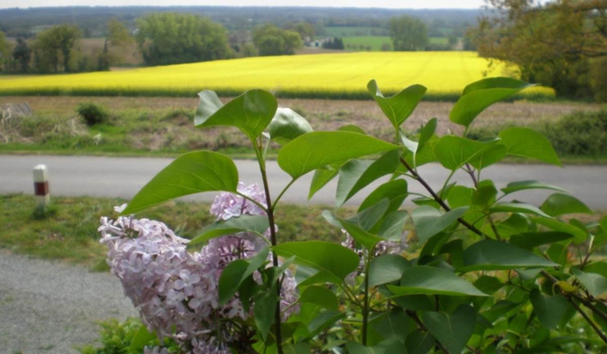 La vue du Gîte