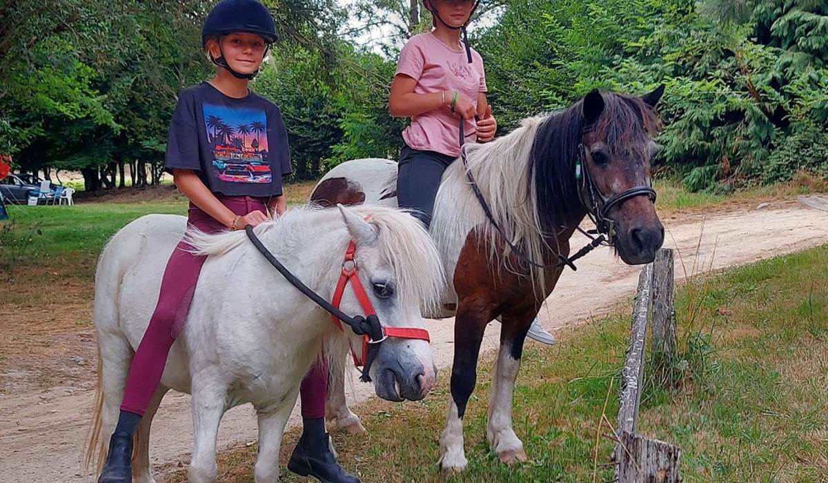 poney 2022