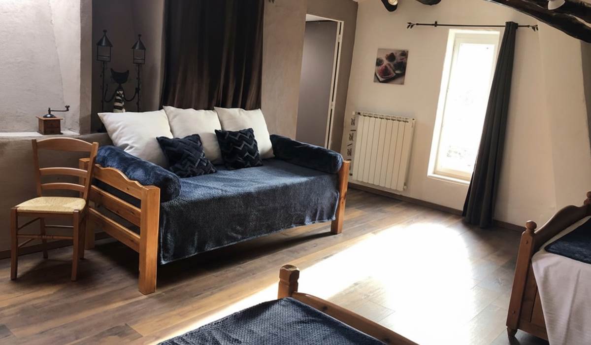 ombrebleuedufigfuier-chambre-châtaigne 2