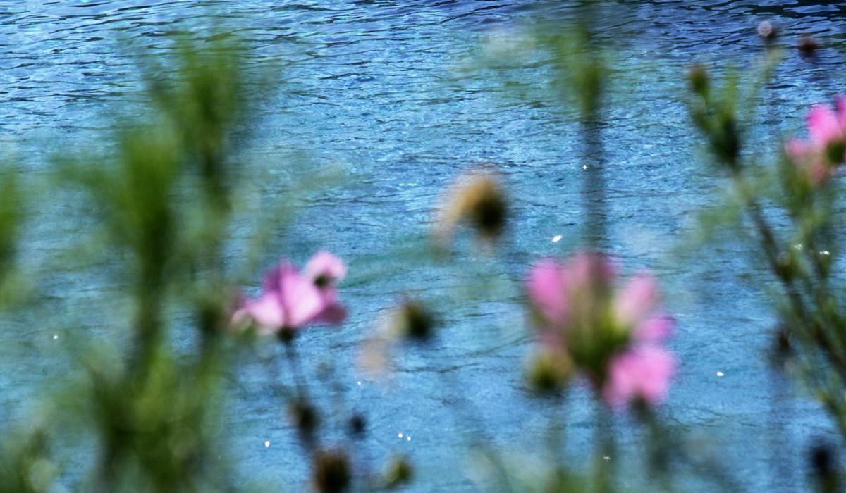 Ambiance nature