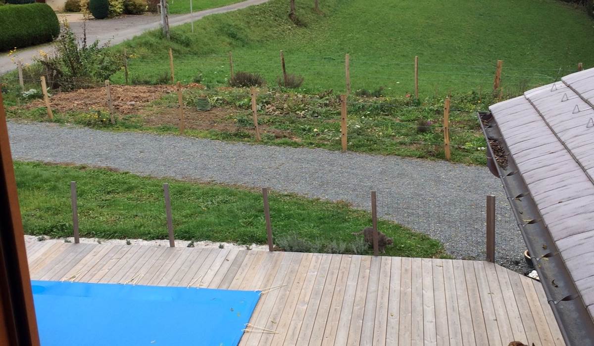 Vue extérieure, par la fenêtre, ou l'on aperçoit la piscine, jardin potager bio, avec une vue sur la campagne environnante