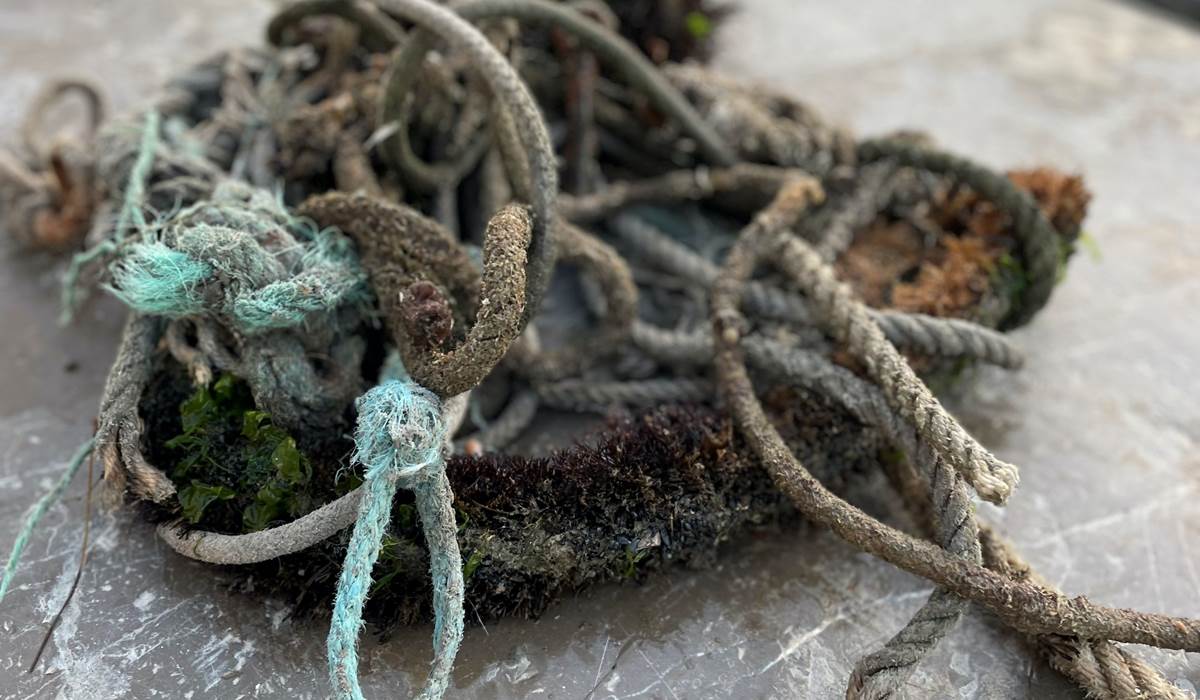 Photo d'artiste sur les canaux de Sète