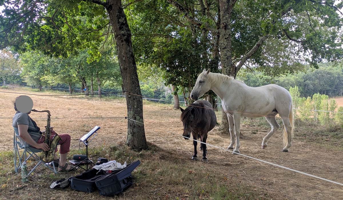 Domaine_de_Calabel©_Pouylebon_vacances_musicien_gers
